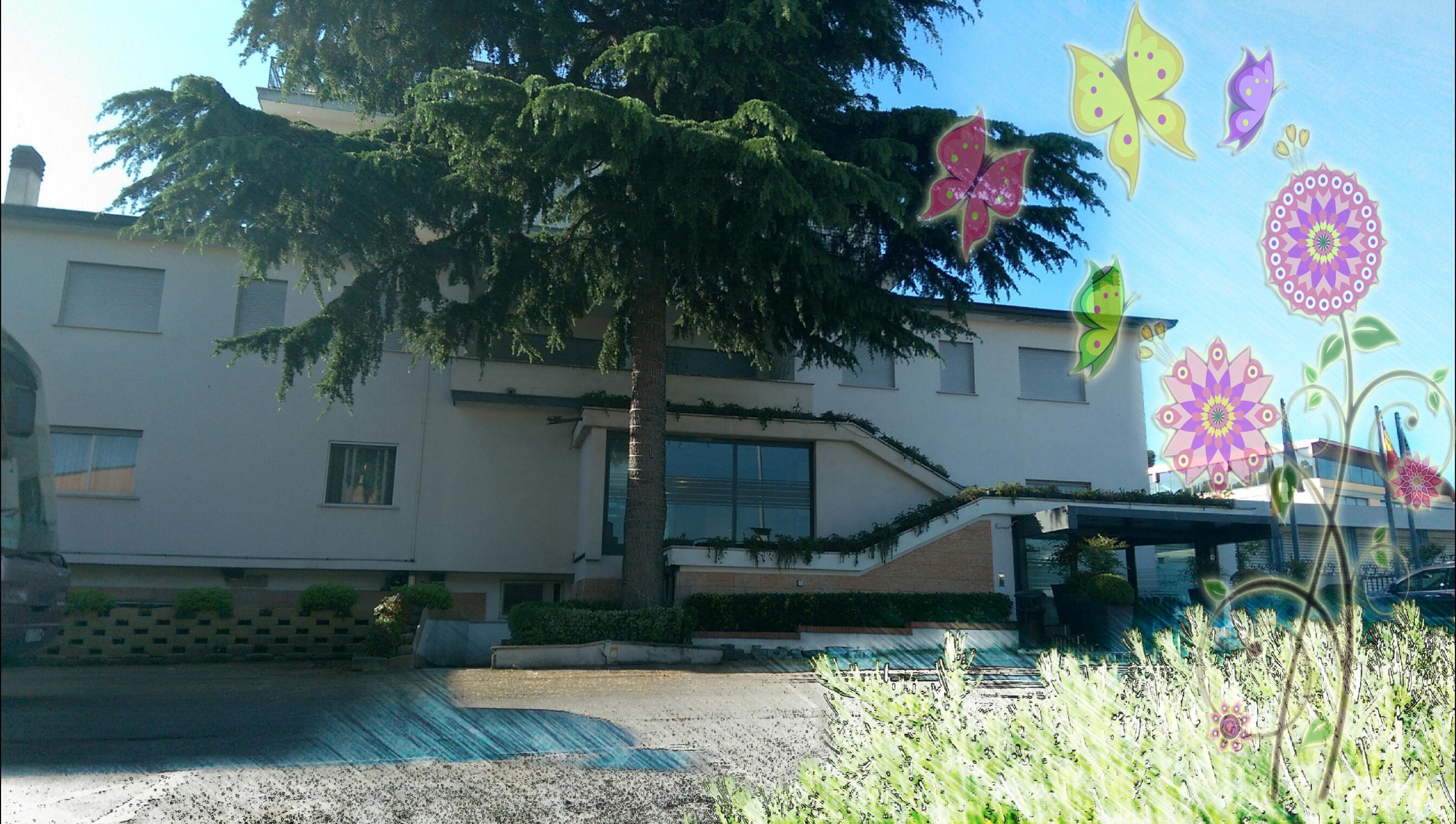 Hotel Meeting Ciampino Exterior foto